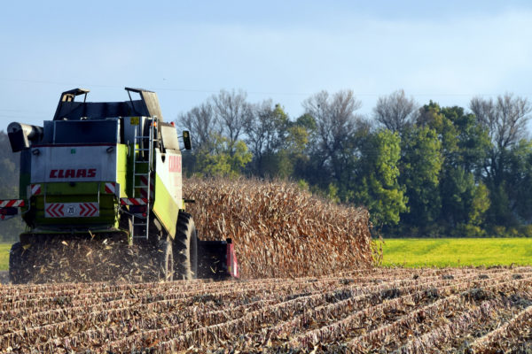 Украина оценила финансовый ущерб в следствии прекращения зерновой сделки