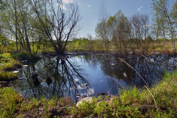 “Мазутное озеро” в деревне Чирково: прокурор назначил проверку